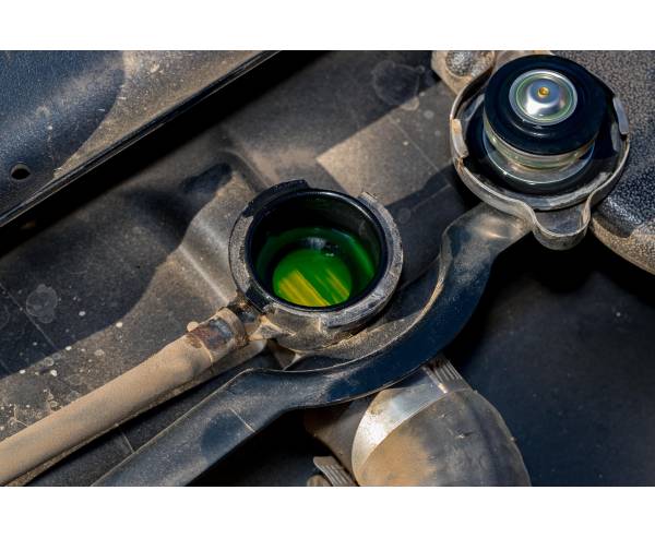 AUTOMOTIVES